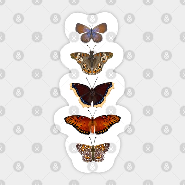 California Butterflies Sticker by juliabohemian